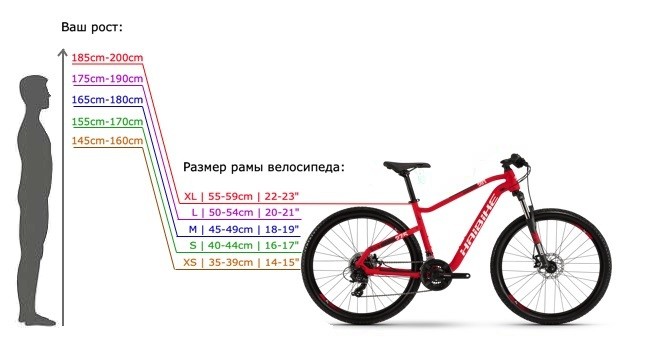 velikost rámu kola podle výšky